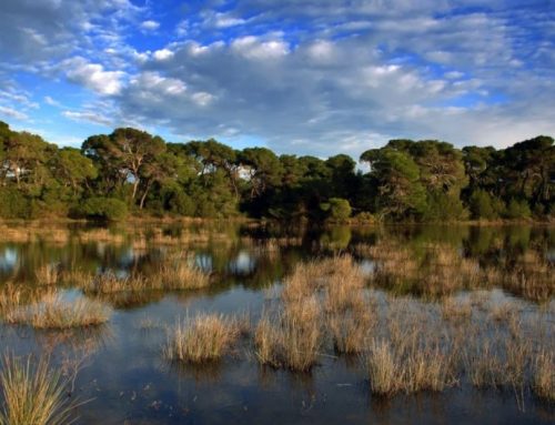 Σε “ομηρία” οι περιοχές Natura